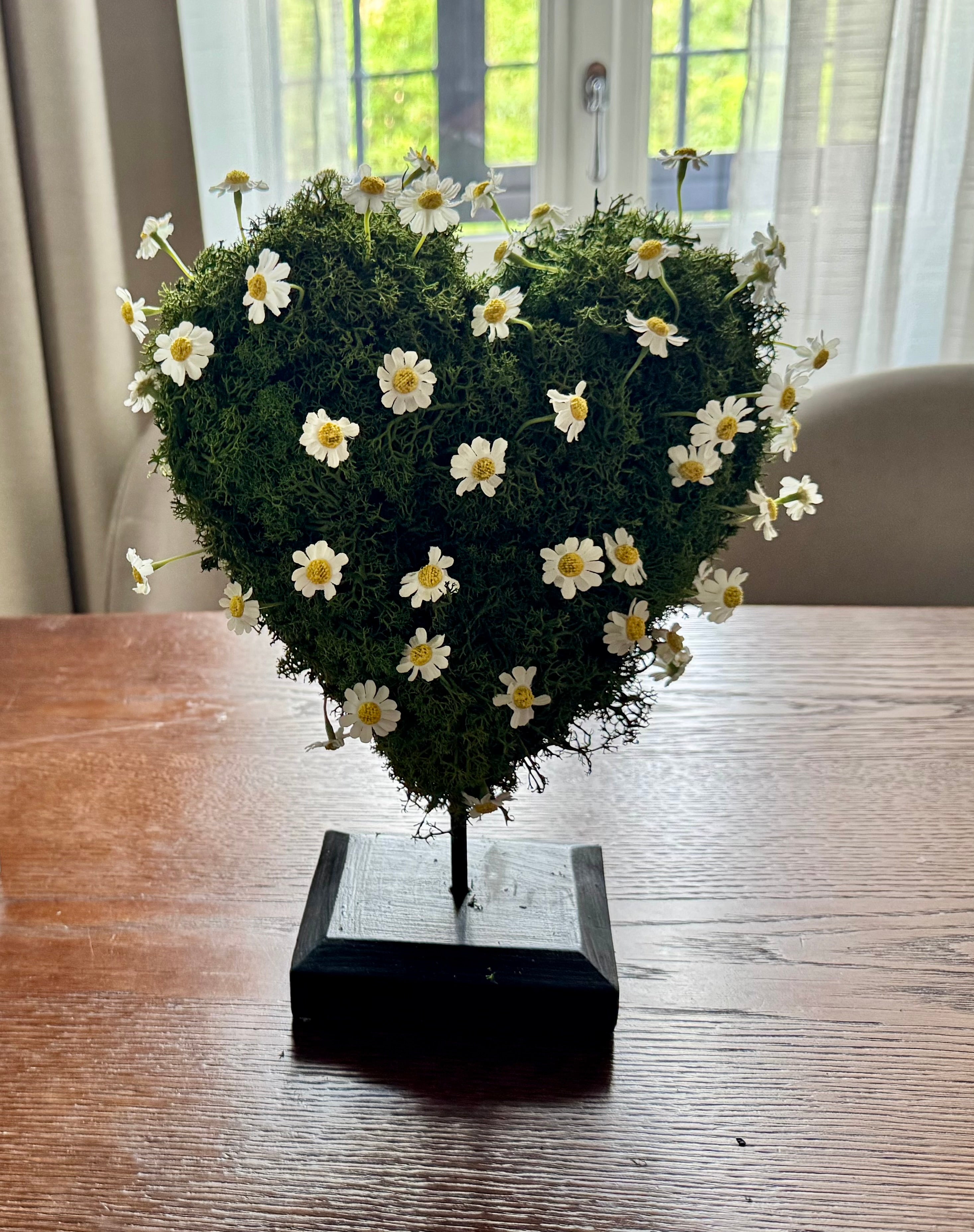 Cuore di Camomilla