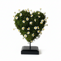 Cuore di Camomilla